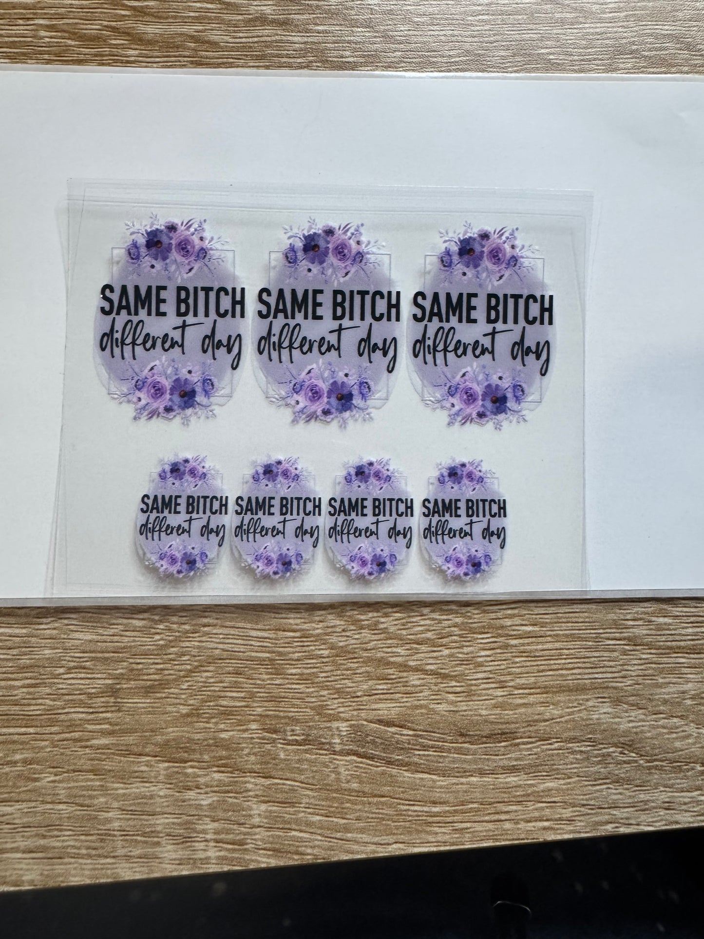 Same bitch different day Shot glass Decal