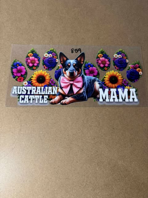 859 Australian Cattle Mama