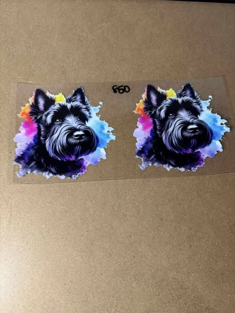 850 Dog