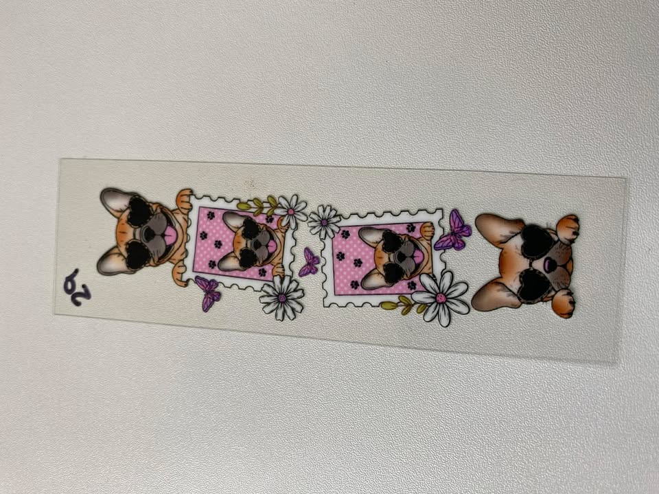 Pen 29- Dog