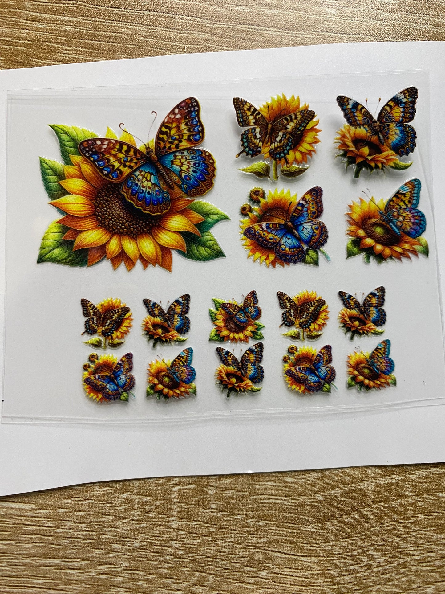 Butterflys and sunflowers Shot Glass