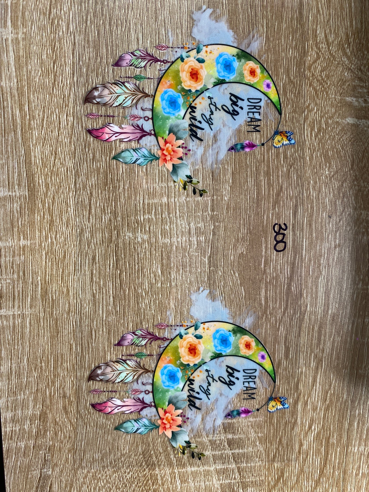 300 Dream Big Stay Wild