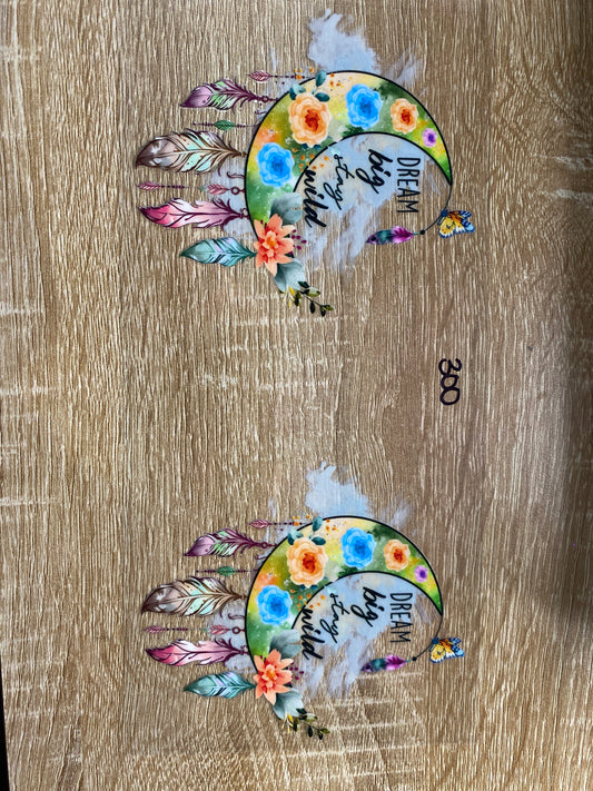 300 Dream Big Stay Wild