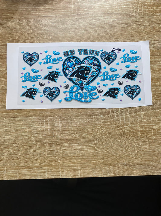 1246 Carolina Panthers My True Love