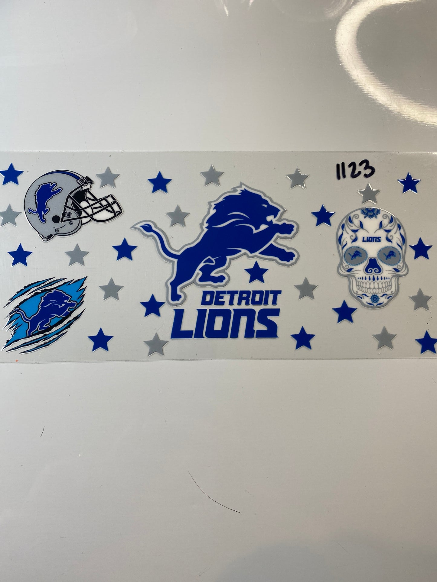 Detroit Lions 1123