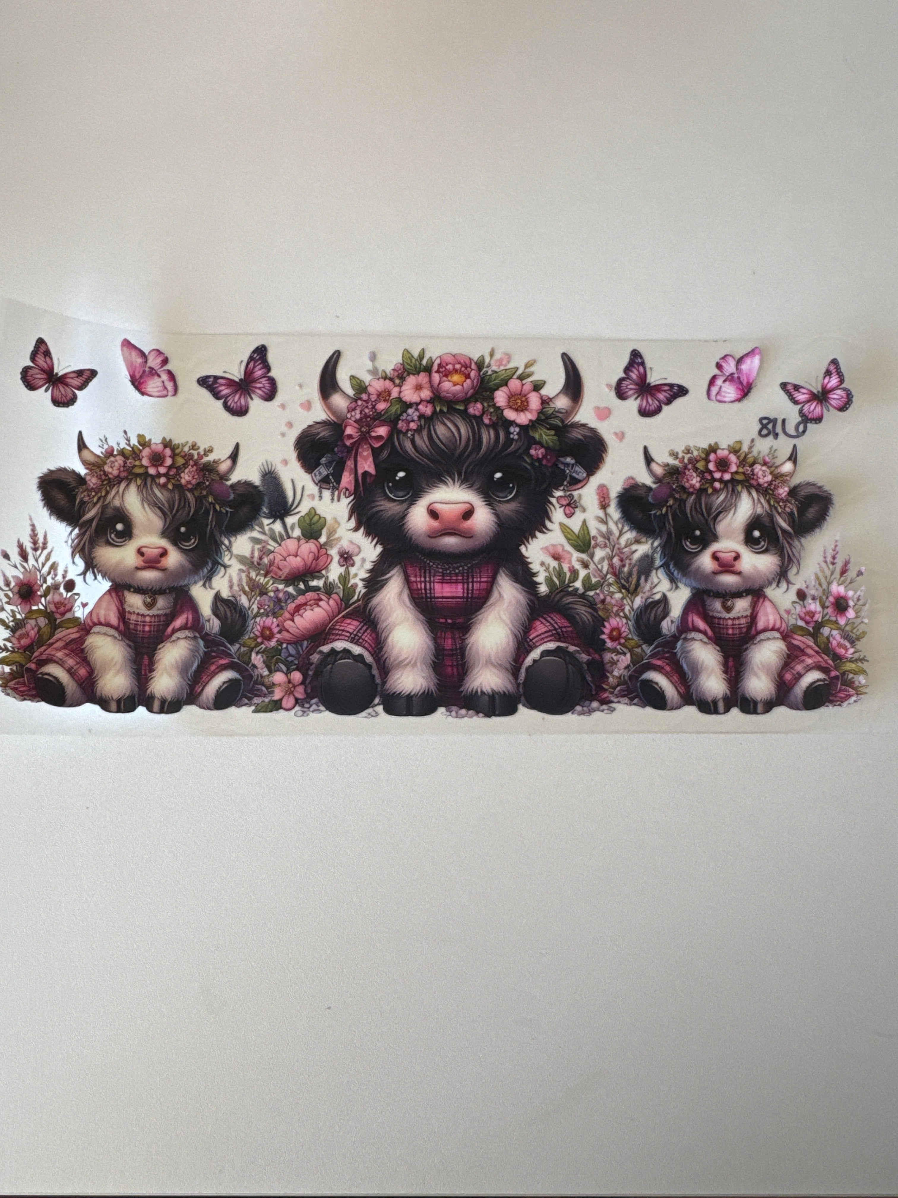 816 Cow
