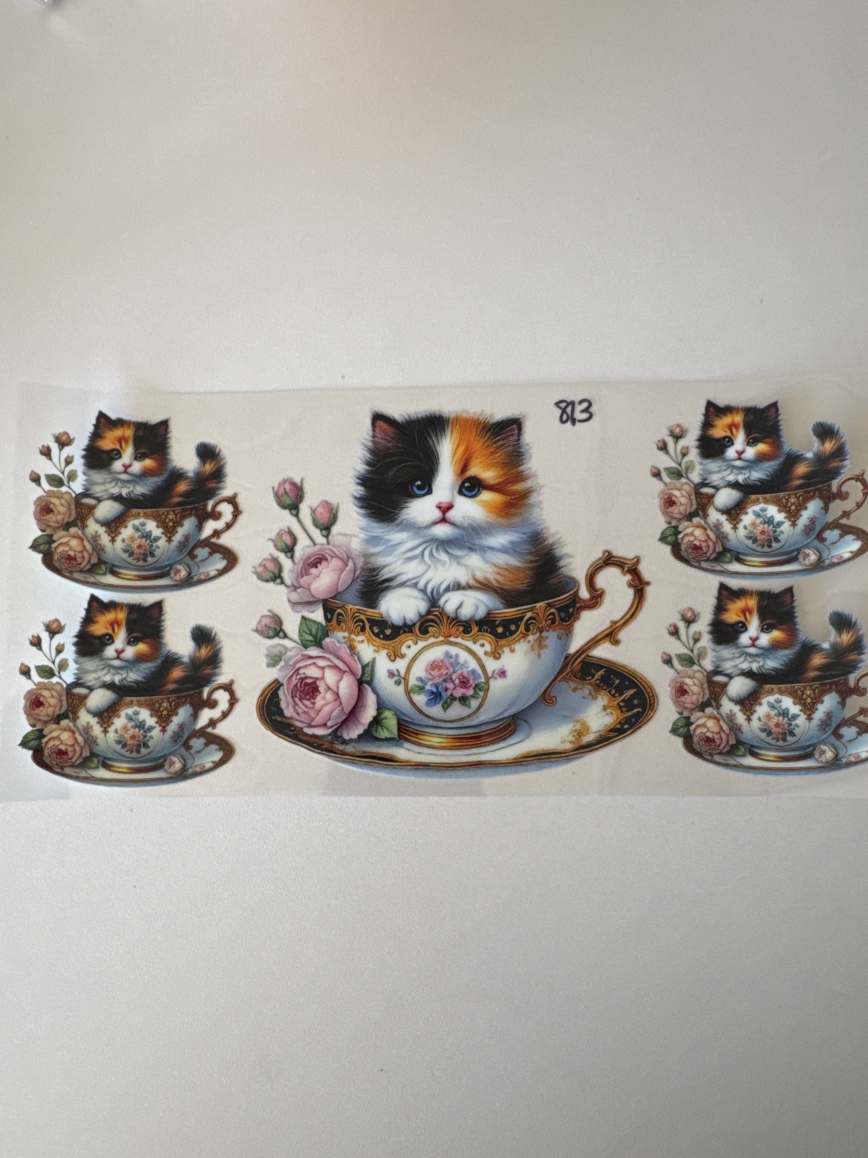 813 Cat