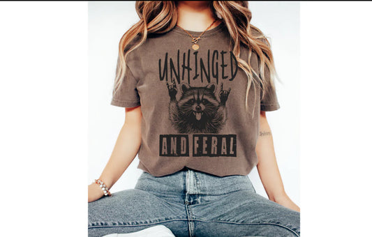 Single Color Adult Transfer- Unhinged